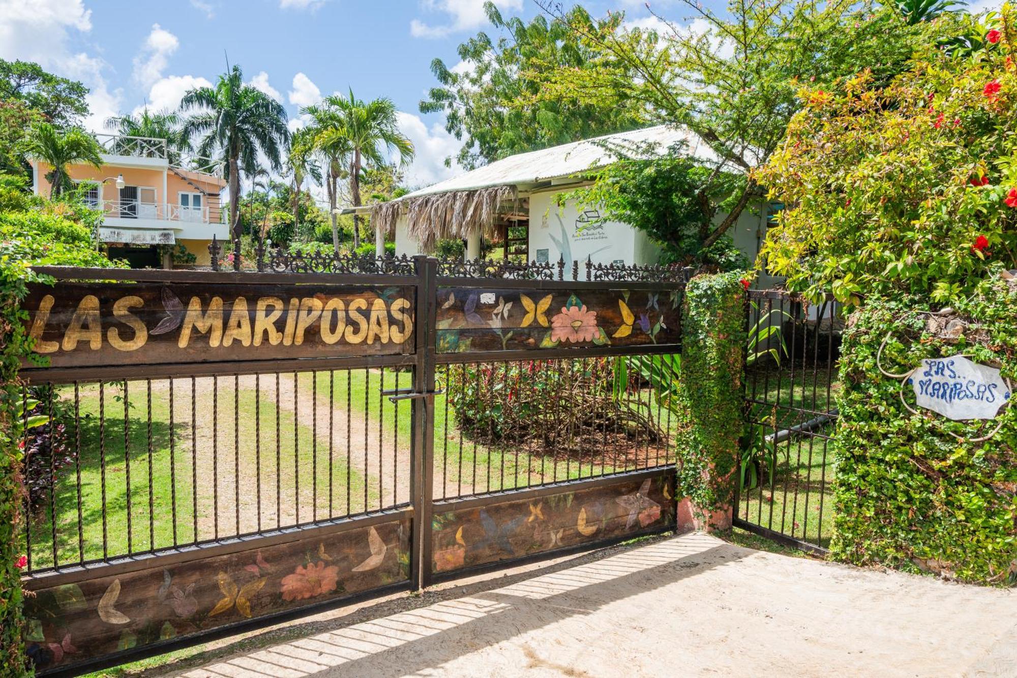 Las Mariposas Las Galeras Dış mekan fotoğraf