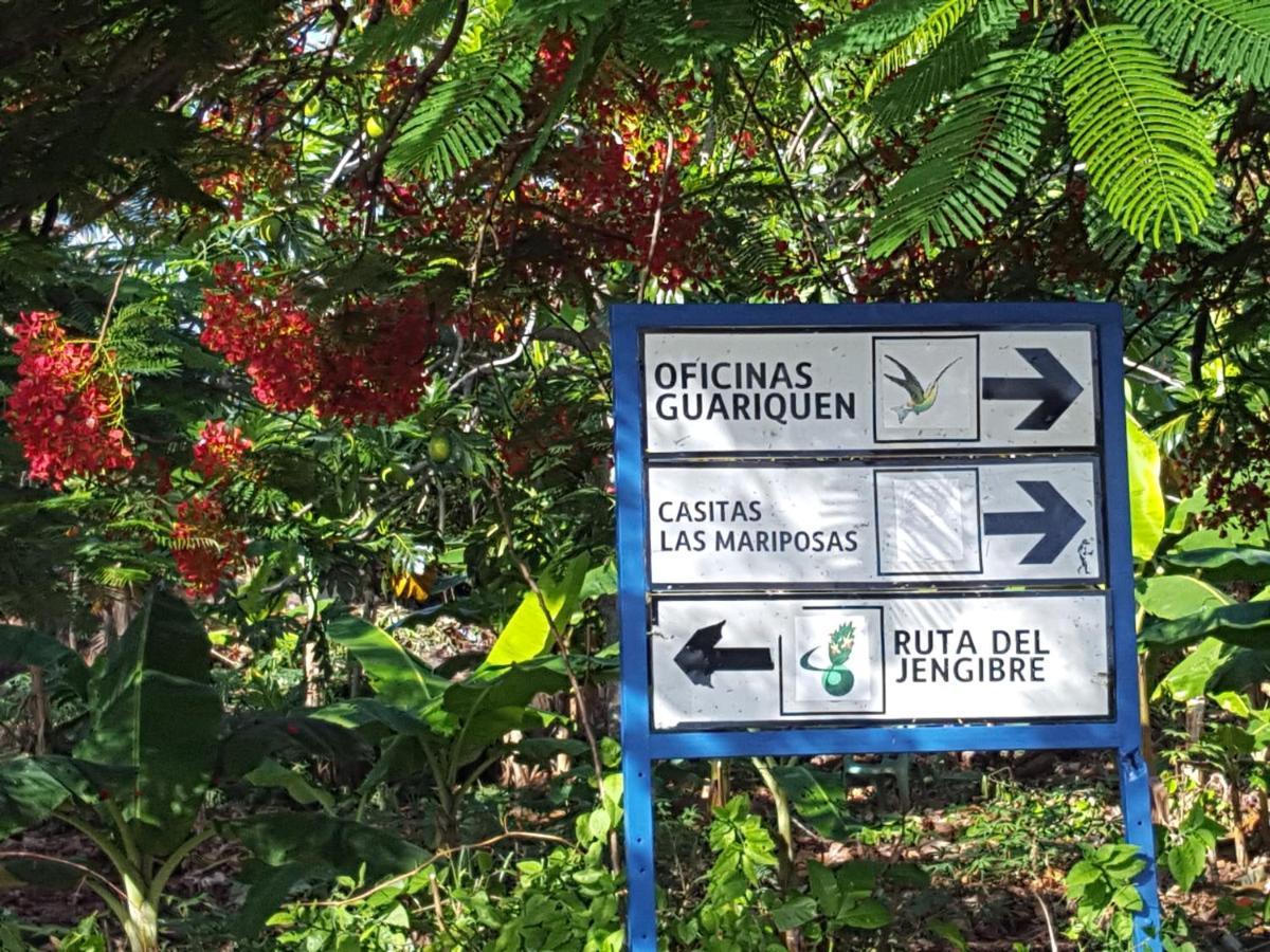 Las Mariposas Las Galeras Dış mekan fotoğraf